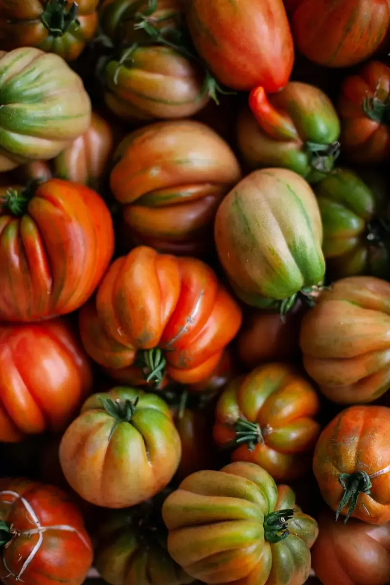 A pile of bell peppers