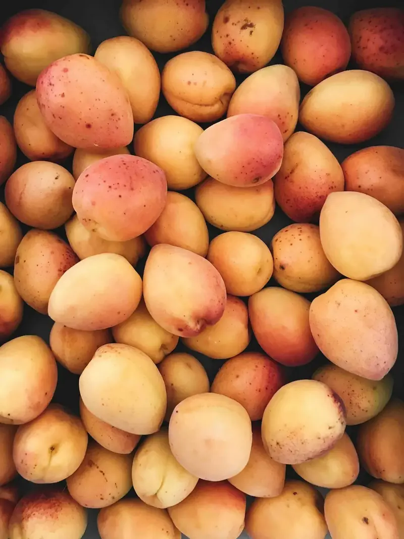 Ripe mangoes