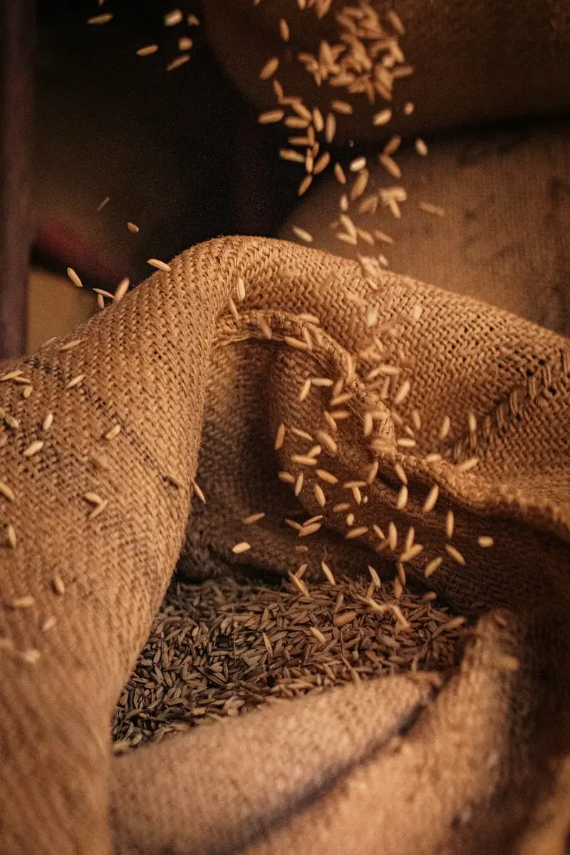 An open sack of seed on a table