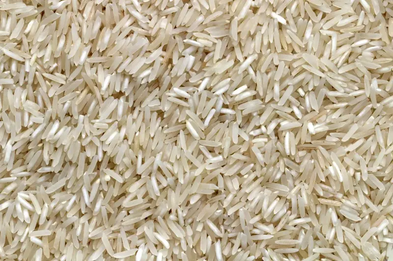 Raw white rice grains