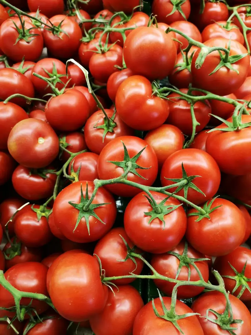 Ripe red tomatoes